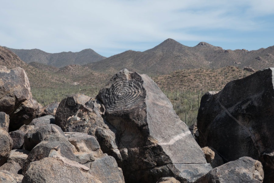 Saguaro: Signal Hill Spiral Petroglyphs