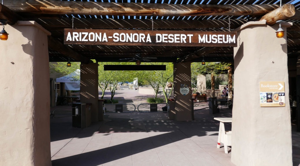 Saguaro: Arizona-Sonora Desert Museum