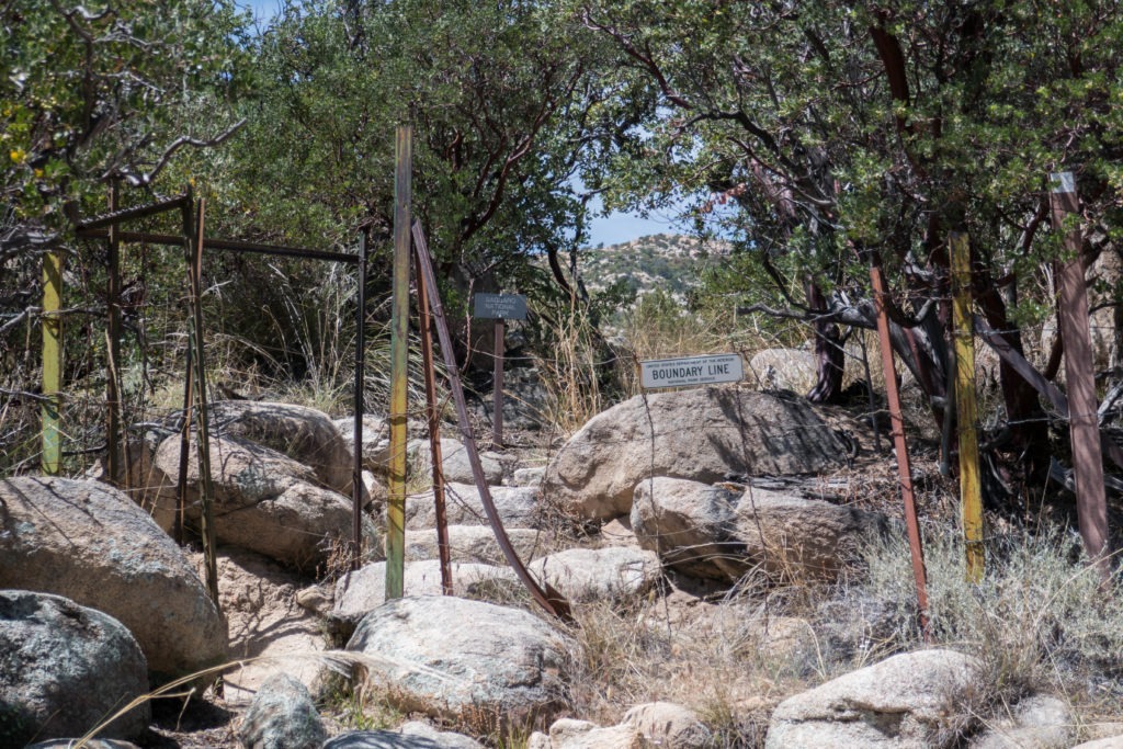 Saguaro: Boundary of the Park and National Forest on Miller Creek Trail