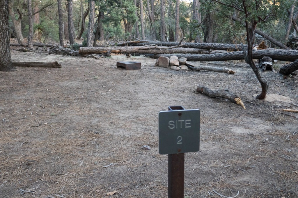Saguaro: Happy Valley Campsite #2