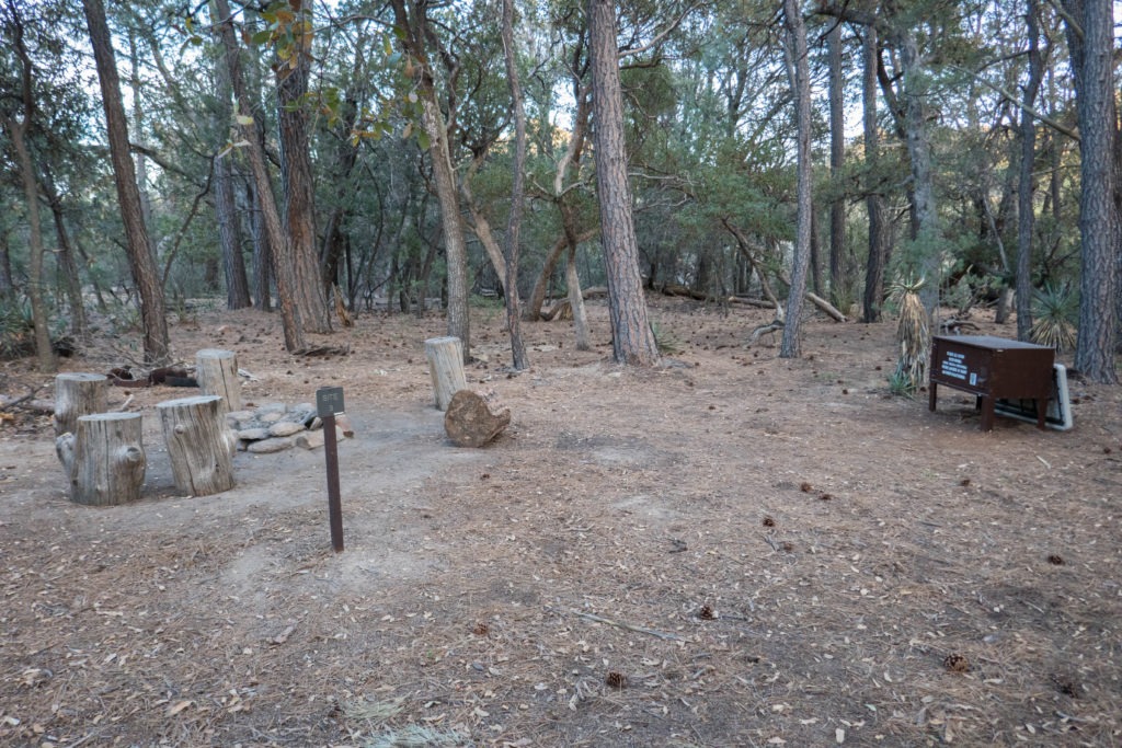 Saguaro: Happy Valley Campsite #3