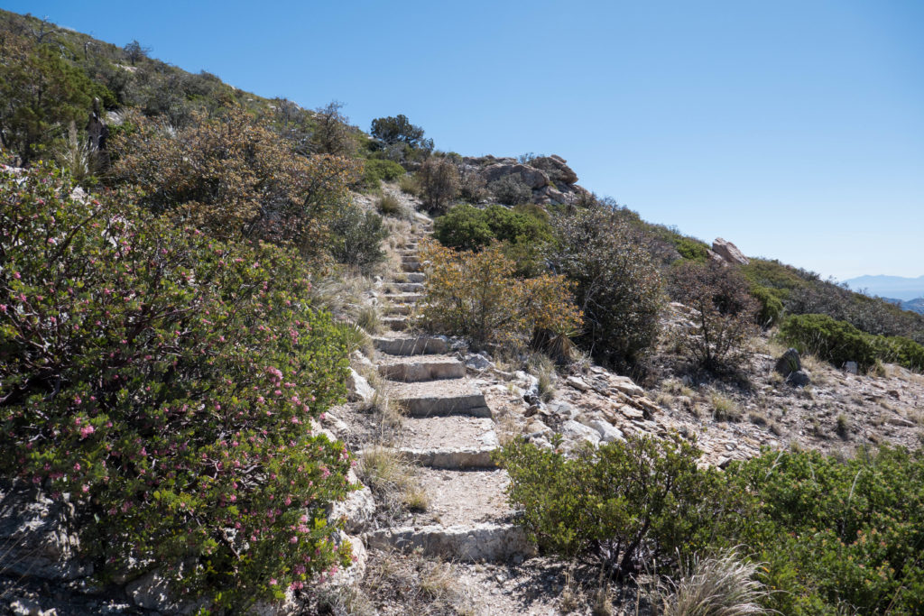 Saguaro: Stairs Next to Manzanita on Heartbreak Ridge Trail