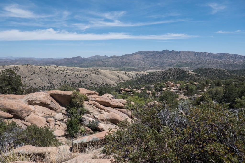 Saguaro: The View Over Miller Creek