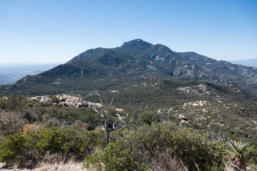Saguaro: Rincon Peak from Heartbreak Ridge