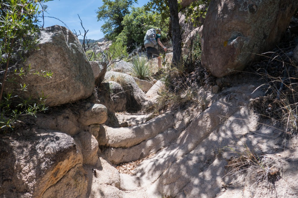 Saguaro: Kristin on Rocky Miller Creek Trail