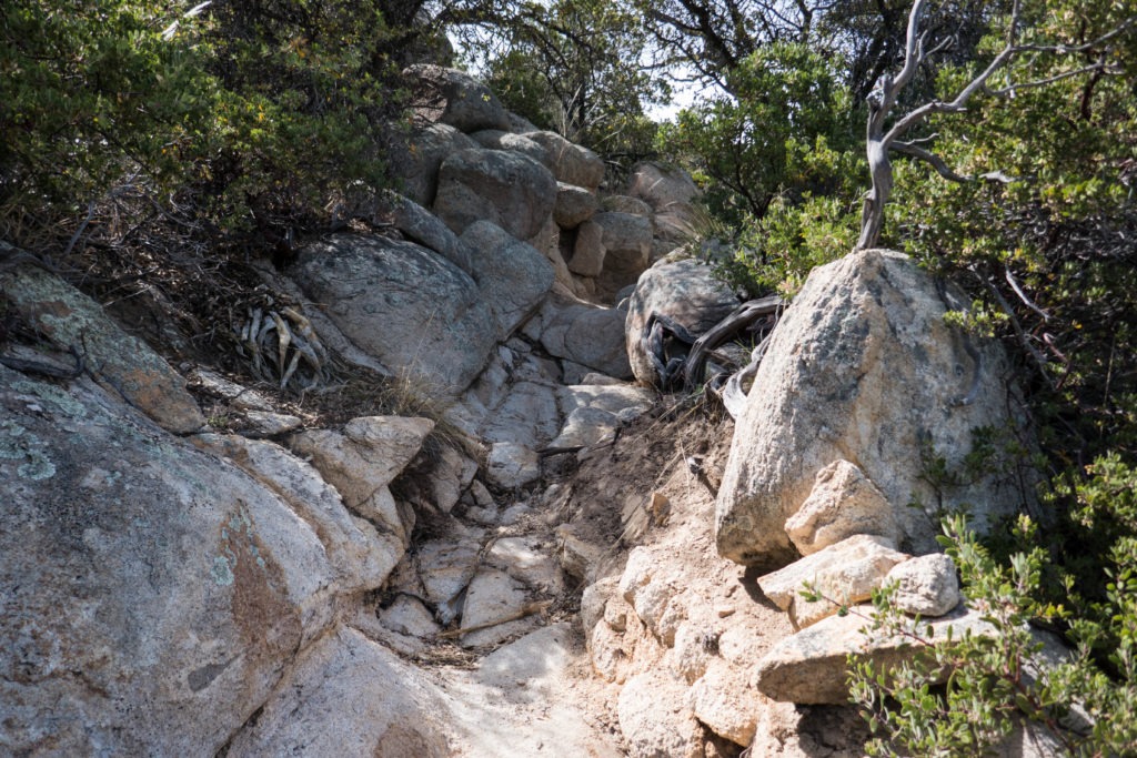 Saguaro: Rock scrambles on Miller Creek