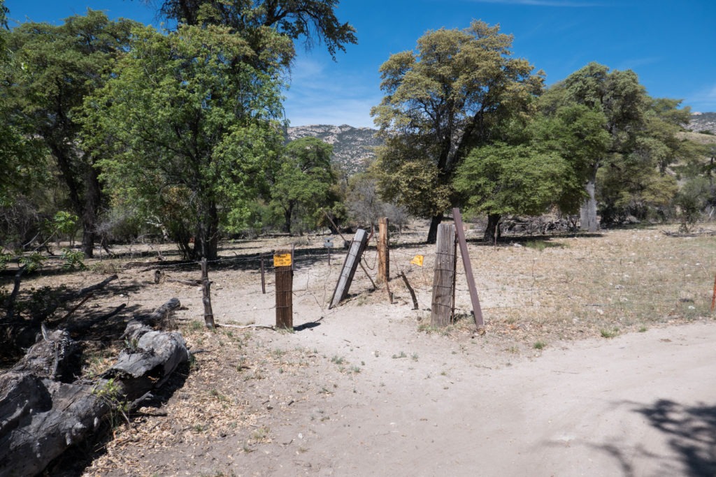Saguaro: Miller Creek Trailhead