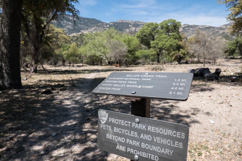 Saguaro: Miller Creek Trailhead Sign