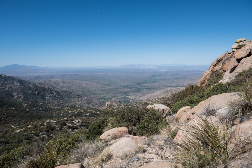 Saguaro: In Happy Valley Saddle, View Towards Tucson
