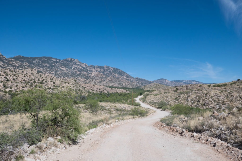Saguaro: Winding Our Way to Miller Creek