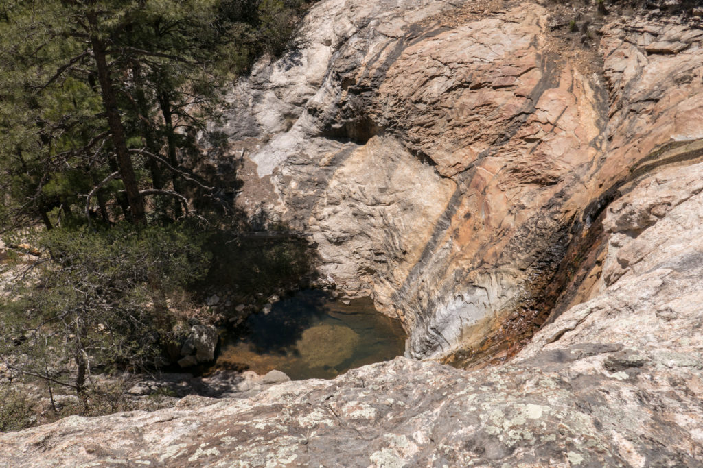 Saguaro: Devil's Bathtub