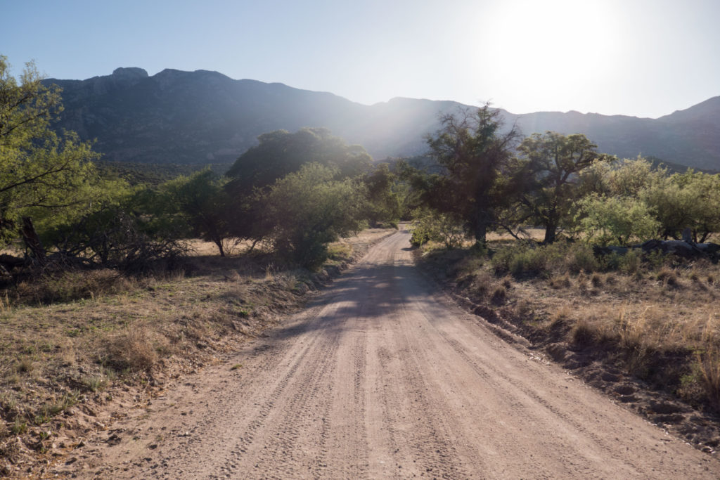 Saguaro: E Happy Valley Road