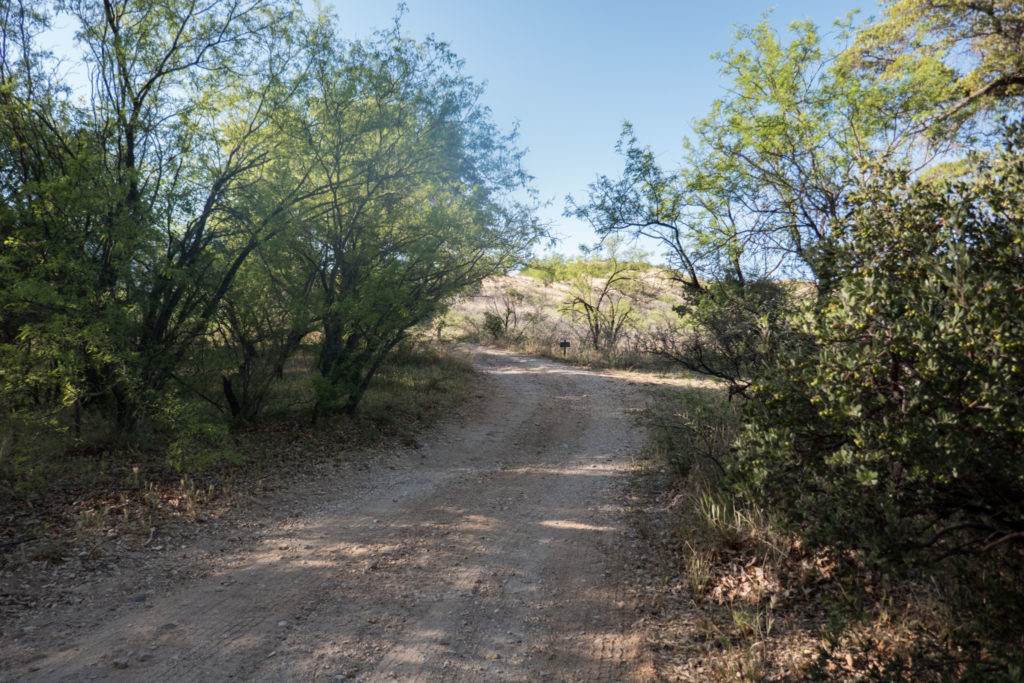 Saguaro: Looking Back at End of Turkey Creek 4WD Road