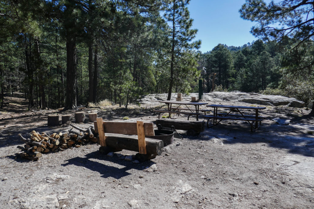 Saguaro: Picnic Benches and Fire Pit Near Manning Cabin