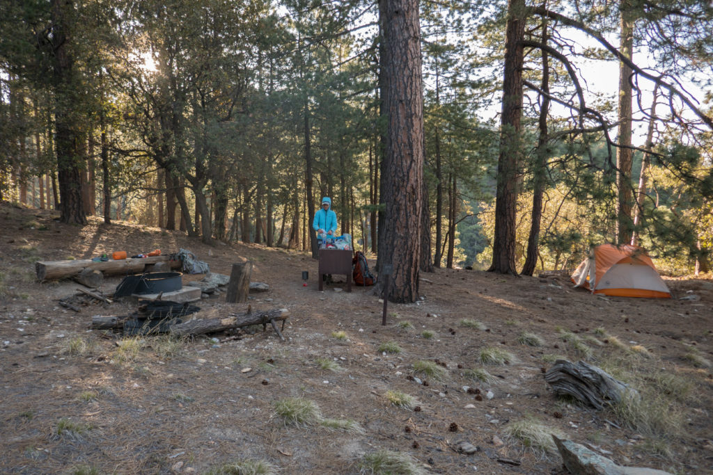 Saguaro: Manning Camp Site 2