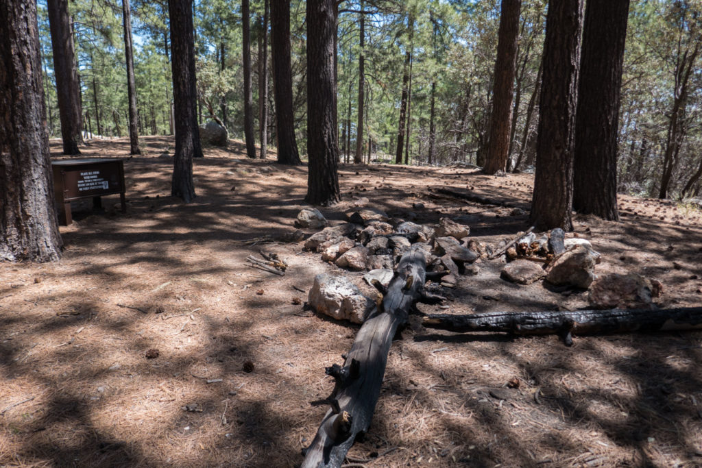 Saguaro: Spud Rock Campground Campsite