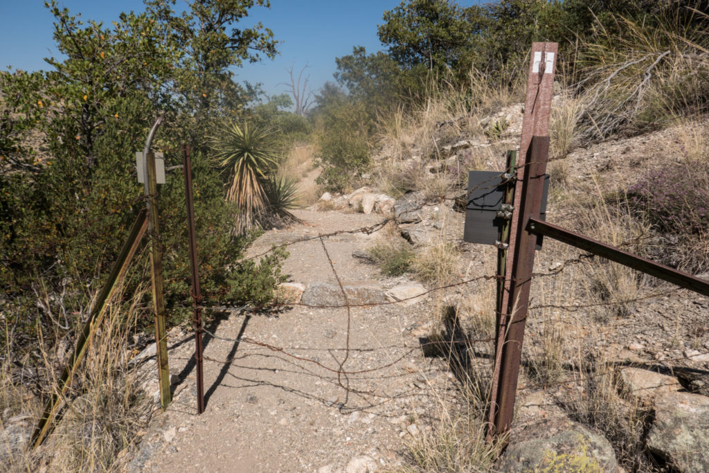 Saguaro: Boundary with Saguaro NP and Coronado NF on Turkey Creek Trail