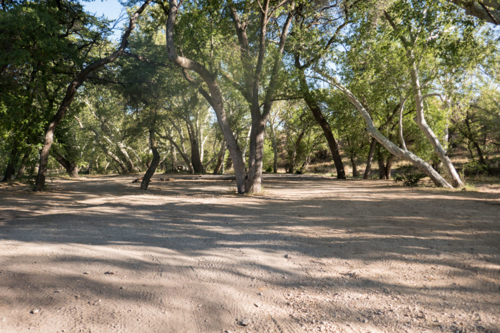 Saguaro: Turkey Creek Camping Area