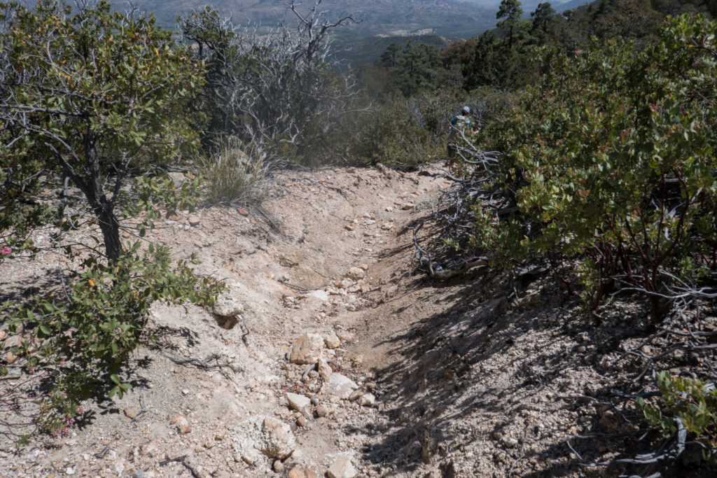 Saguaro: Turkey Creek Trail Erosion