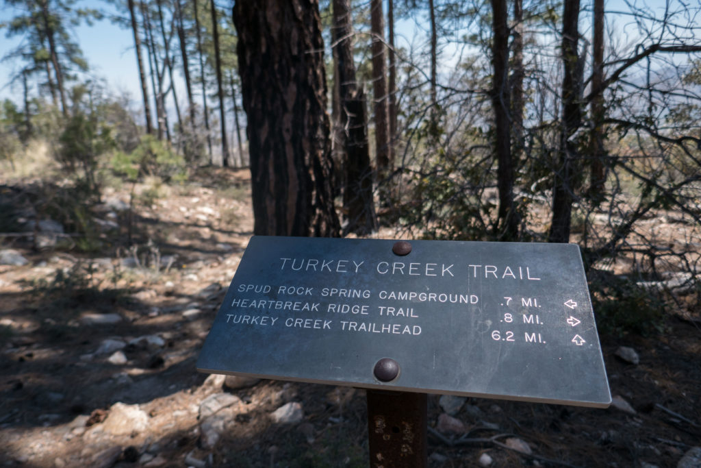 Saguaro: Turkey Creek Trailhead Sign