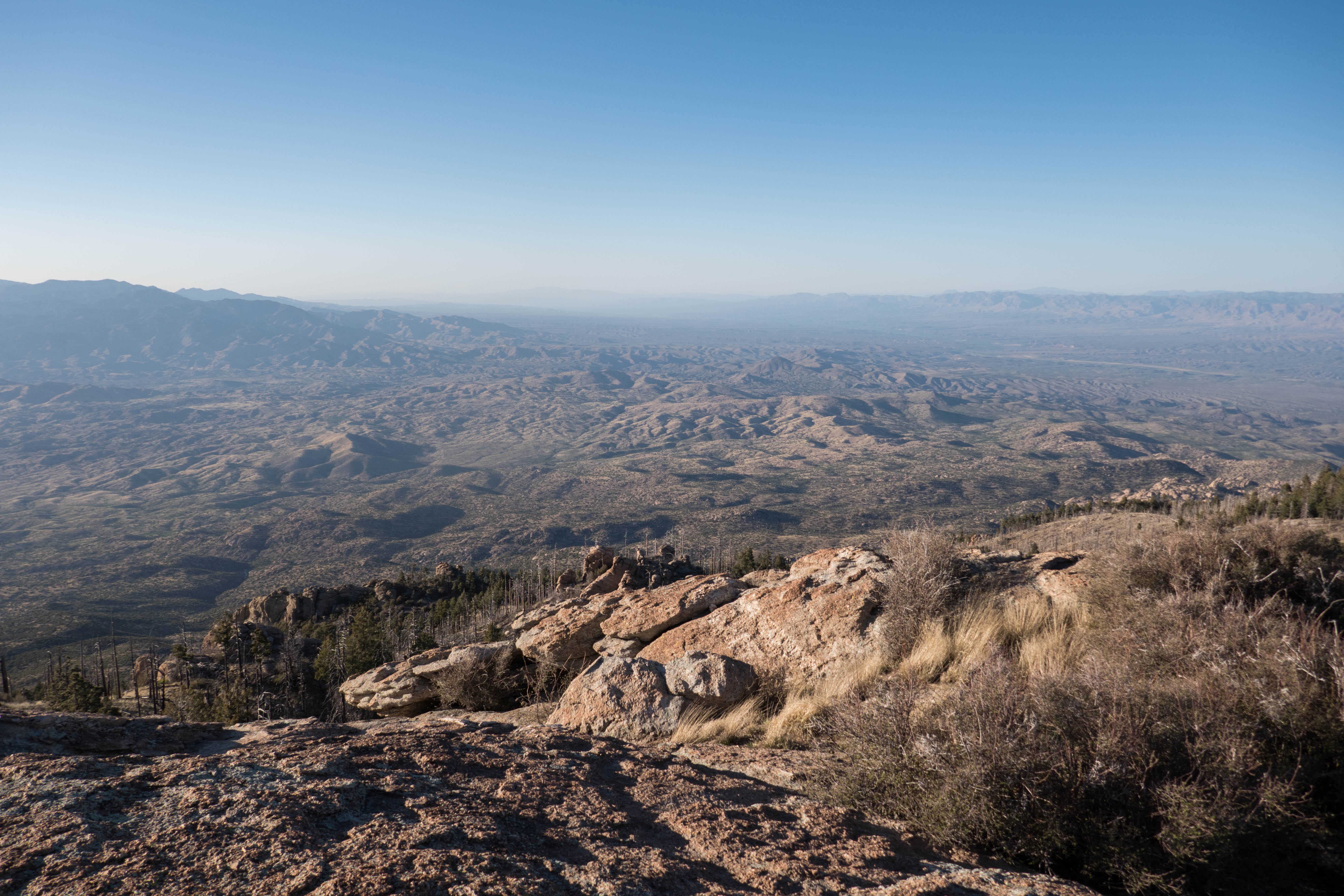 Saguaro: View from Top of Spud Rock