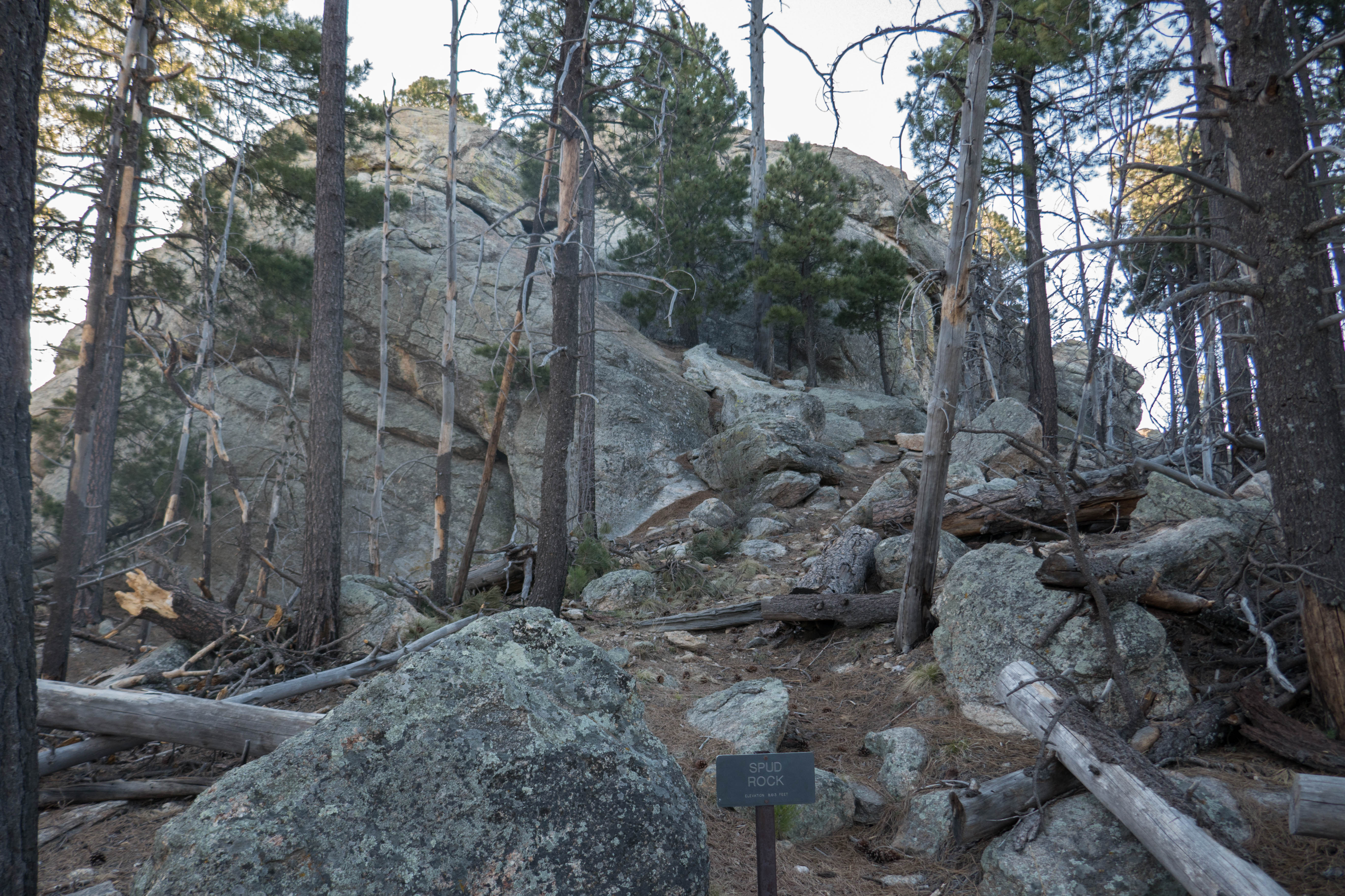 Saguaro: Spud Rock