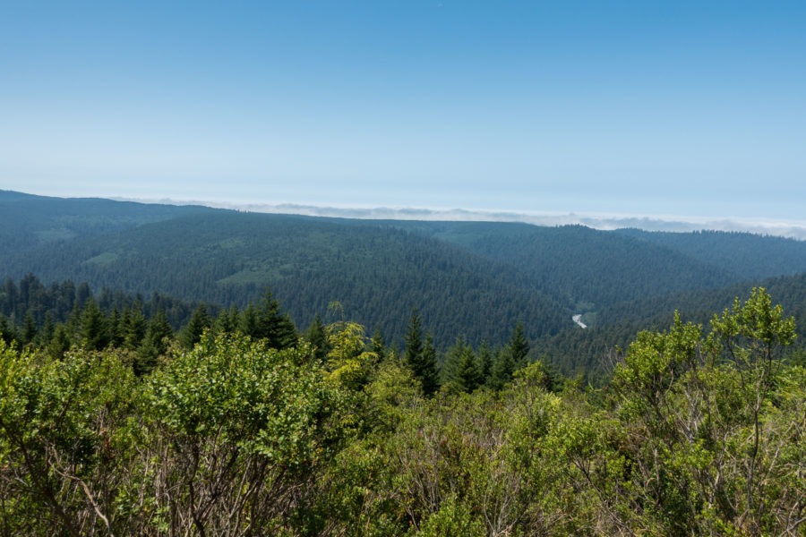 Redwood Creek Overlook on Bald Hills Road