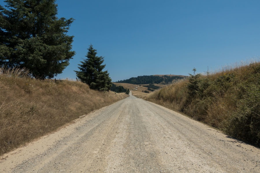 Redwood: Distance View on Bald Hills Road