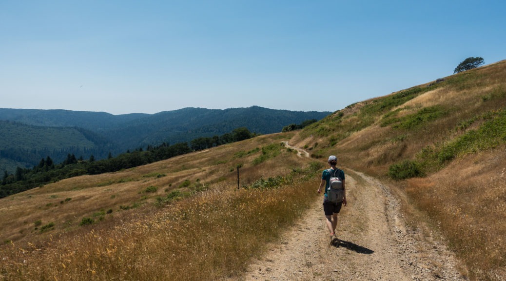 Redwood: Hiking Lyons Ranch