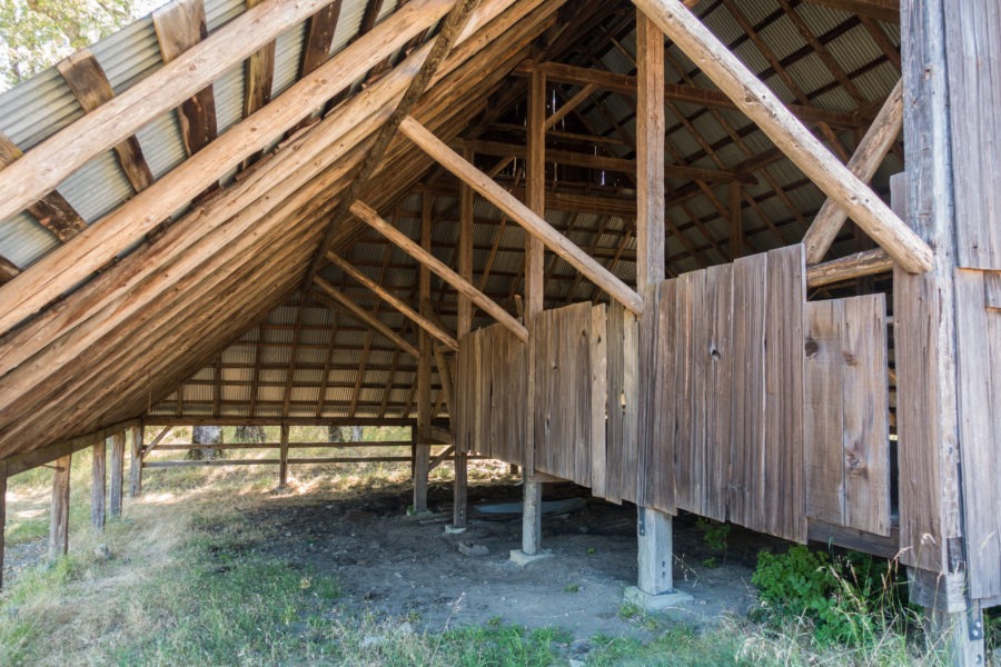 Redwood: Inside Long Ridge Sheep Shed