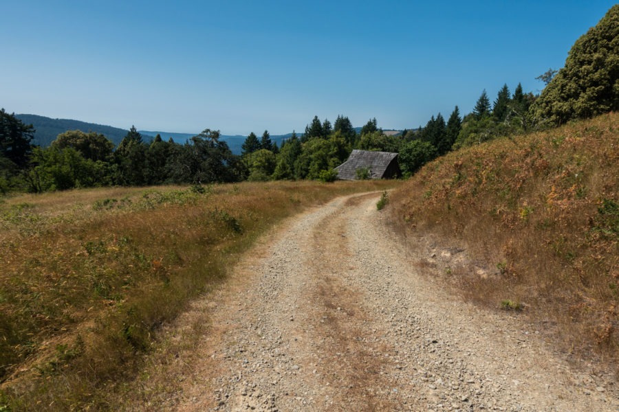 Redwood: Lyons Ranch Barn From Distance