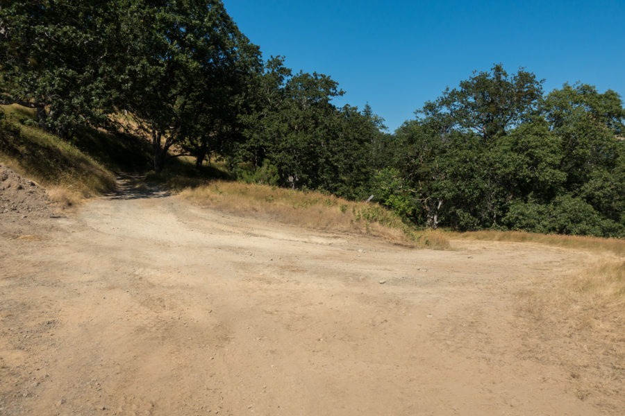 Redwood: Intersection of Lyons Ranch Trail and Ranch Road