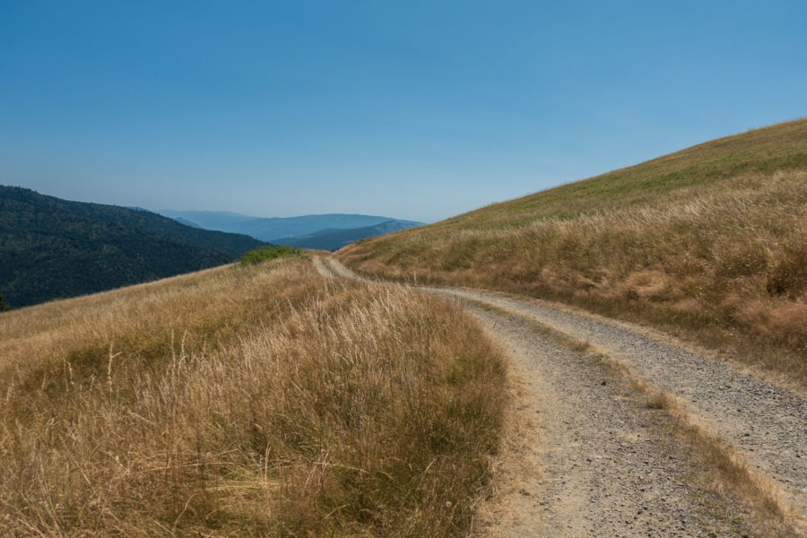 Redwood: Start of Lyons Ranch Trail