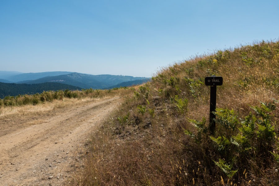 Redwood: Lyons Ranch Trail Sign