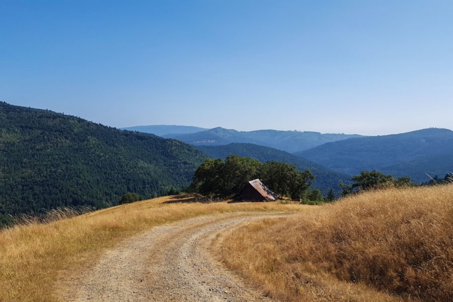 Redwood: View of Long Ridge Sheep Shed