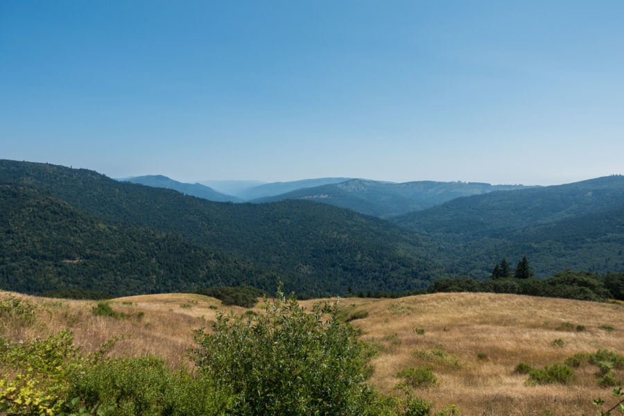 Redwood: View South of Lyons Ranch