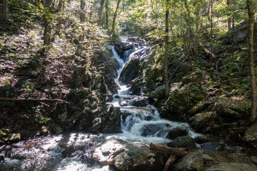 Shenandoah: Waterfall on Rose River Fire Road Below Dark Hollow Falls