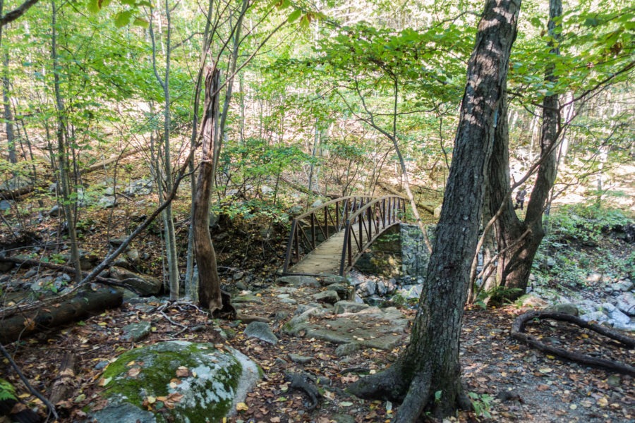 Shenandoah: Bridge Across Hogcamp Branch on Rose River Loop Trail