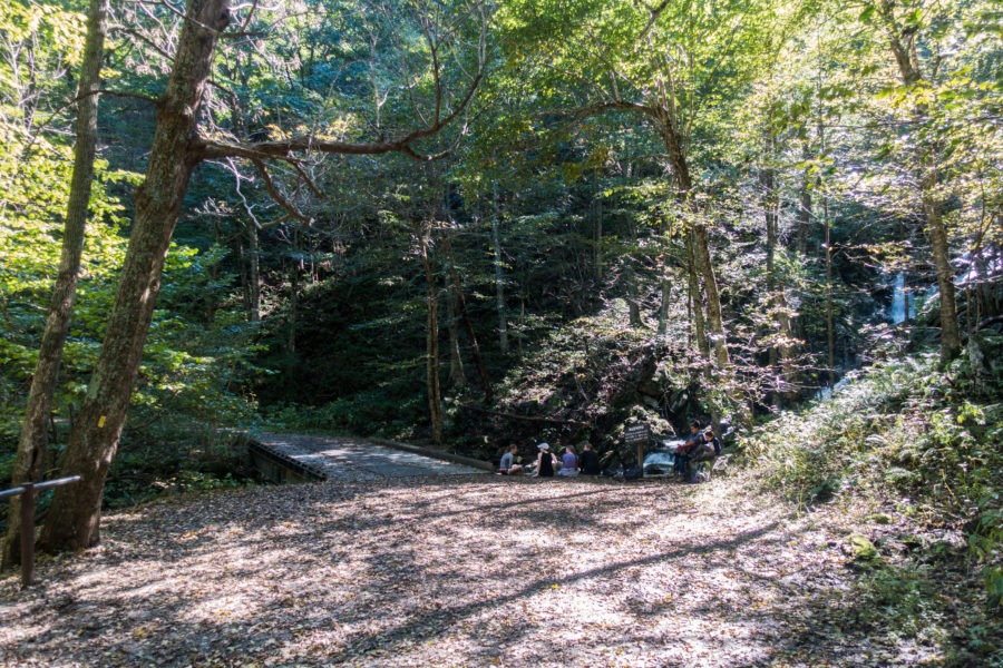 Shenandoah: Bridge at the Bottom of Dark Hollow Falls on Rose River Fire Road