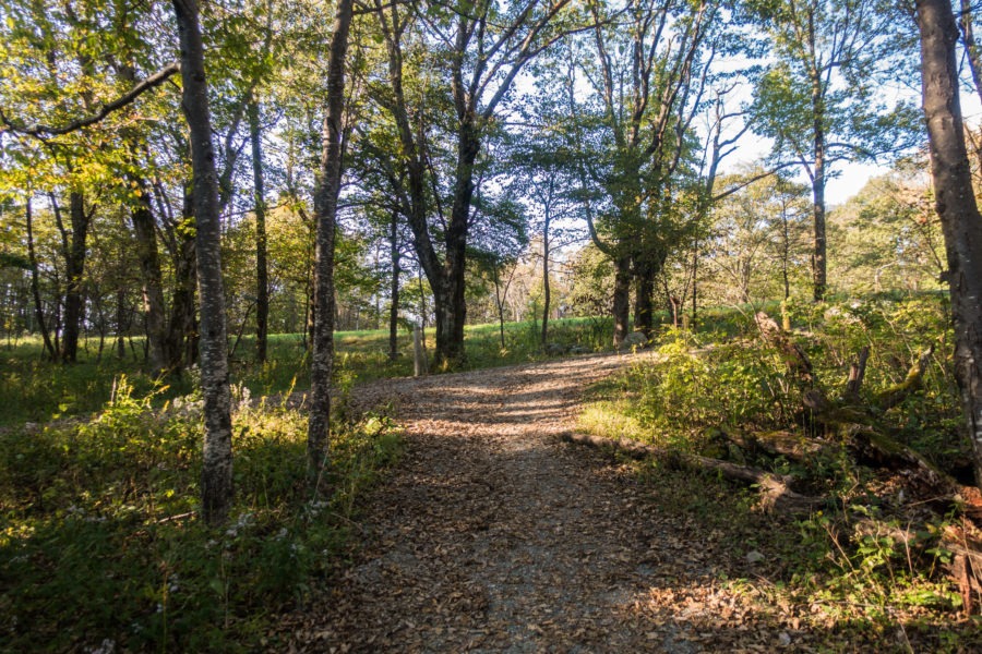 Shenandoah: Rose River Fire Road and Skyland-Big Meadows Trail Intersecting
