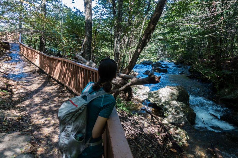 Shenandoah: Taking a look at the top of Upper Dark Hollow Falls