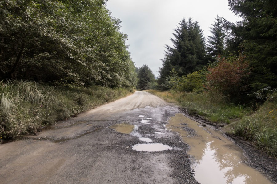 Redwood: Fern Valley Road to Miners Ridge Trail