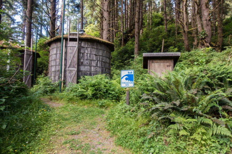 Redwood: Tsunami Shelter on Miner's Ridge Trail