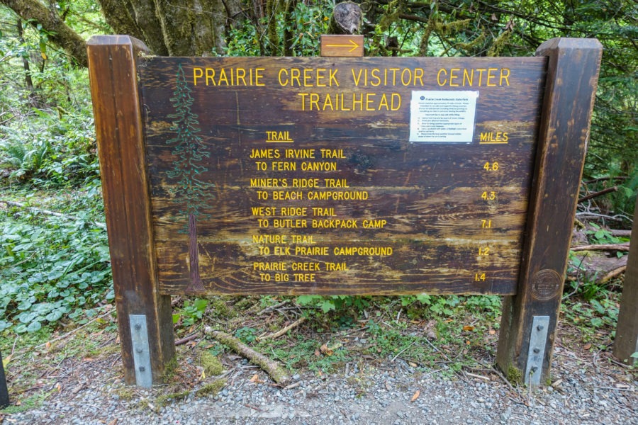 Redwood: Prairie Creek Trail Head Sign