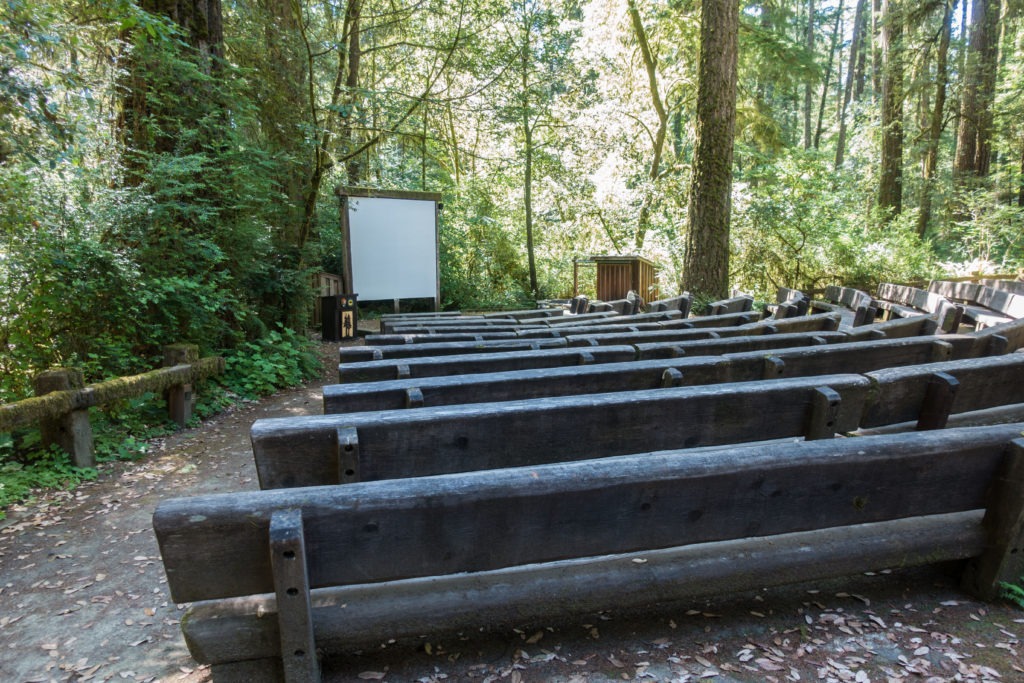 Redwood: Jedediah Smith Campground Amphitheater