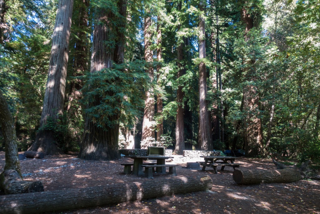 Redwood: Larger Campsites at Jedediah Smith Campground