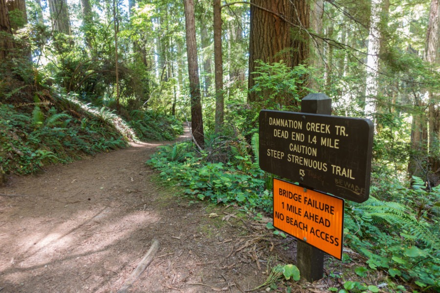 Redwood: Damnation Creek Trail & Coastal Trail Intersection