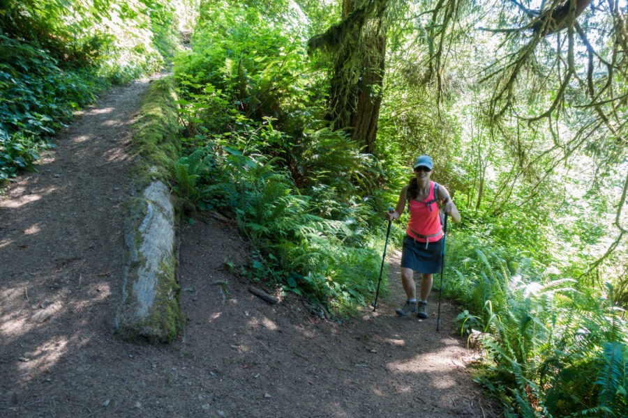 Redwood: Damnation Creek Trail Switchback