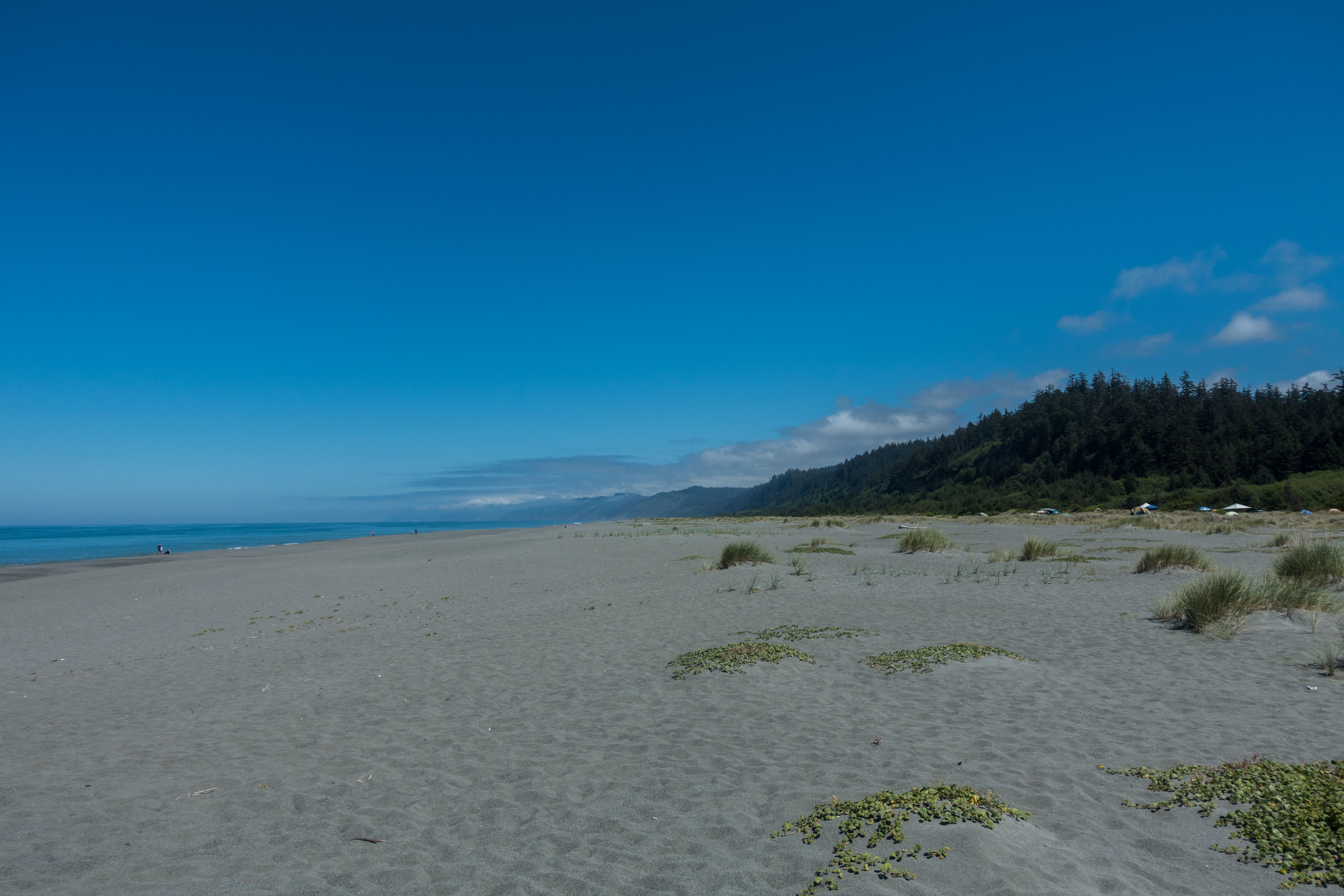 Escape to Gold Bluffs: Your Redwood National Park Beach Getaway