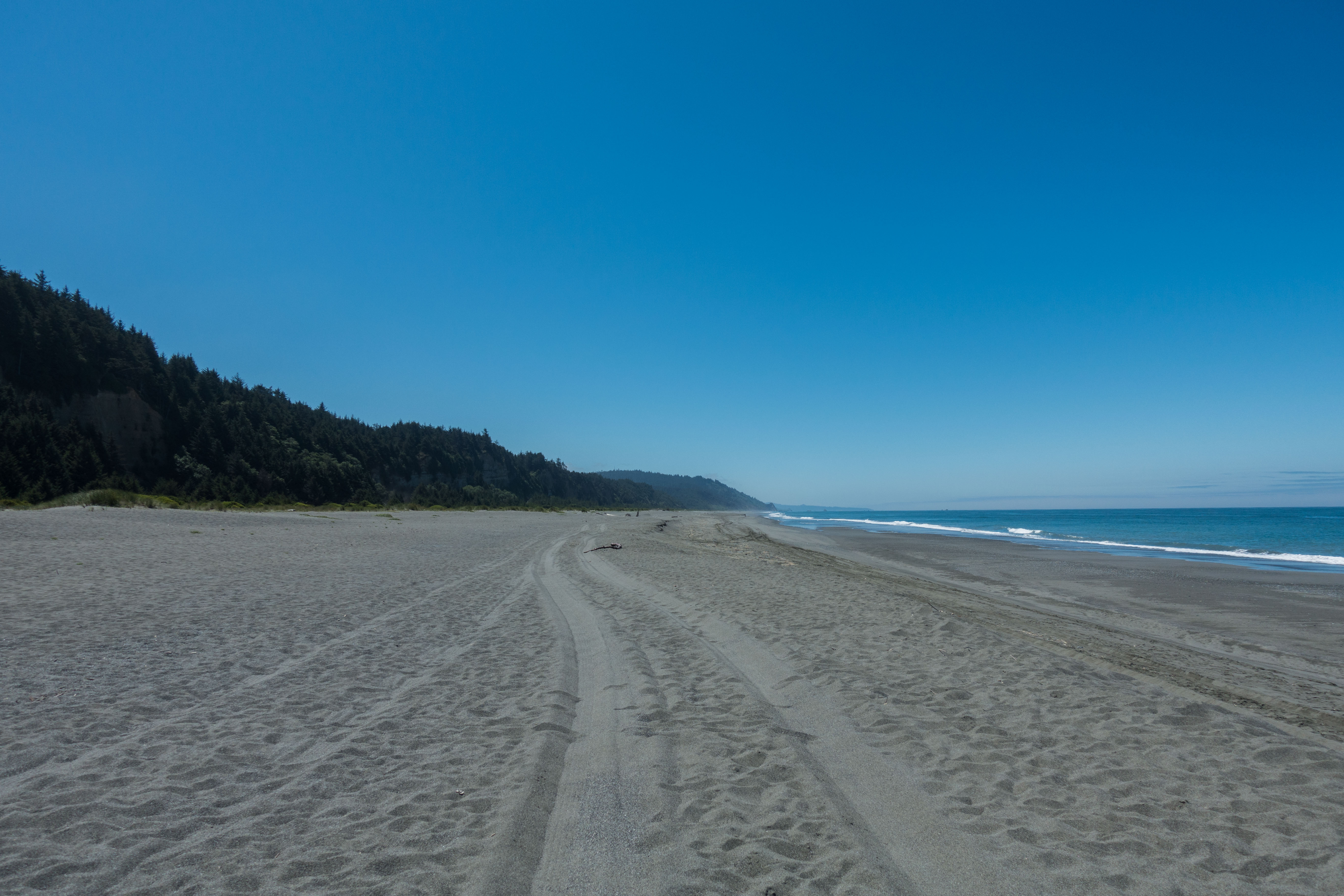 Escape To Gold Bluffs: Your Redwood National Park Beach Getaway